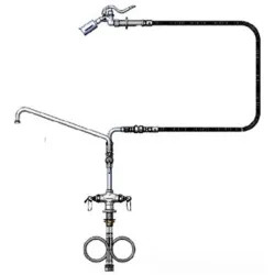 Click here to see T&S Brass B-0300-A16-WD T&S Brass B-0300-A16-WD Double Pantry Faucet