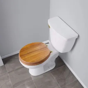 Jones Stephens C3B2R117BR Jones Stephens C3B2R117BR Light Oak - Polished Brass Hinge Round Wood Toilet Seat