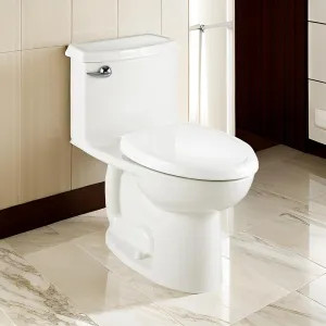 American Standard 2403.128.020 American Standard Compact Cadet 3 FloWise Elongated One-Piece Toilet with Seat, 1.28 GPF, Right Height, EverClean, White - 2403.128.020