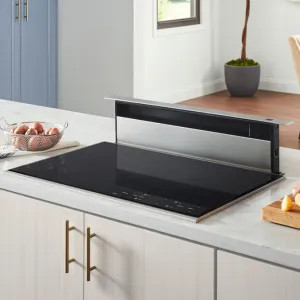 Broan 273003 Broan-NuTone Elite 30-Inch Downdraft Range Hood, 600 CFM, Stainless Steel Cover - 273003