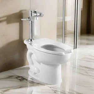 American Standard 2855.111.020 American Standard 2855.111.020 Madera System with EverClean & Manual Flush Valve, 1.1 GPF, White