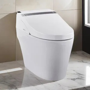 ProStock PSBTWE1000 ProStock 1K Smart Toilet w/ Bidet Combo, White - PSBTWE1000