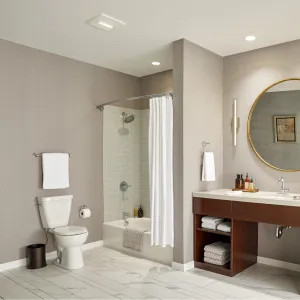 Broan AE110L Broan-NuTone Flex Series Bathroom Exhaust Fan with Light, 110 CFM - AE110L