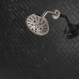 Delta 52669-SS Delta H2Okinetic 5-Setting Traditional Raincan Shower Head, 1.75 GPM, Stainless - 52669-SS