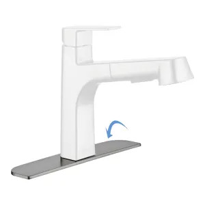 Peerless RP93991SS Peerless Stainless 10in Escutcheon, Base Plate, and Mounting Nut - RP93991SS