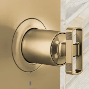 Brizo HK60P06-GL Brizo Kintsu Pressure Balance Valve Trim Knob Handle Kit, Brilliance Luxe Gold - HK60P06-GL