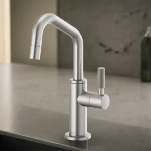 Brizo 61363LF-C-SS Brizo Litze Single-Handle Beverage Faucet with Angled Spout, Diamond Seal, ADA, Knurled Handle, 1.5 GPM, Brilliance Stainless - 61363LF-C-SS