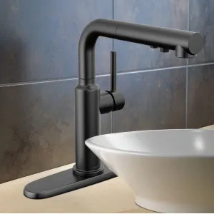 Delta 16879-BL-DST Delta Daneri Single Handle Pull-Out Kitchen Faucet, Touch-Clean, Diamond Seal, MagnaTite, ADA, 1.8 GPM, Matte Black - 16879-BL-DST