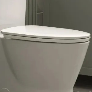 American Standard 5036A65G.020 American Standard Aspirations Elongated Toilet Seat, Slow-Close, Easy Lift-Off, White - 5036A65G.020