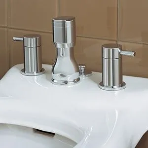 Bidet Faucets Image