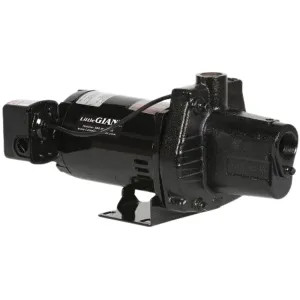 Little Giant 218136 Little Giant Pump Motor, 10 HP, 230V, 3600 RPM - MOT-JP (218136)