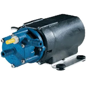Little Giant 532012 Little Giant Specialty Pump, 1/11Hp, 170 gph, 24 Leads, 230 Volts, 3/8-inch Discharge, 24-inch Cord Length - 532012
