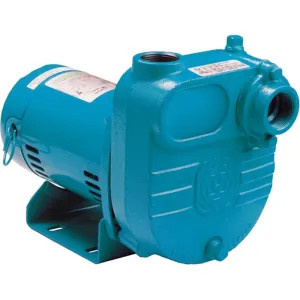 Little Giant 621815 Little Giant Effluent Pump, 1/2 hp, 115 Volts, 1-1/4-inch Discharge - BE-S50 621815