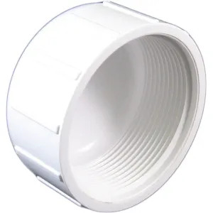 Commodity  PVCCAP2T Schedule 40 PVC Threaded Cap, 2 Inch