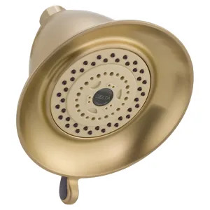 Delta RP64095CZ Delta RP64095CZ Premium 3-Setting Shower Head, Champagne