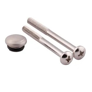 Moen 114343BN Moen Handle Cap and Screw Kit, Brushed Nickel - 114343BN
