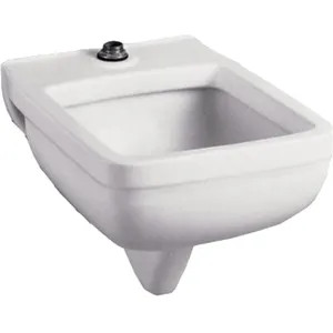 American Standard 9512.999.020 American Standard 9512.999.020 Wall-Mount Clinic Service Sink, White