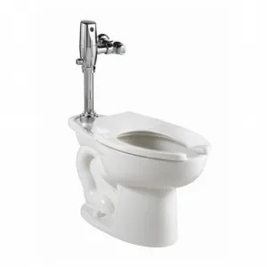 American Standard 3043.660.020 American Standard 3043.660.020 Madera Toilet with Selectronic Exposed Battery Flush Valve - 1.6 GPF, White