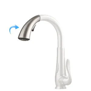 Pfister 950-283S PFister 950-283S Spray Wand for Pasadena Faucet, Stainless Steel