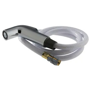 Delta RP28900 Delta RP28900 Delta Spray and Hose Assembly (Chrome)