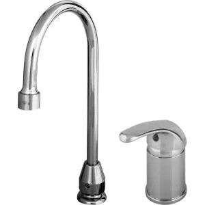 T&S Brass B-2742 T&S Brass B-2742 Single Lever Side Mount Control, Swivel/Rigid Gooseneck, Vandal Resistant Aerator