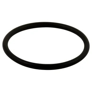 Delta RP23336 Delta RP23336 Delta Large O-Ring - All Monitor Series 