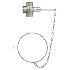 Speakman S-2720 Speakman S-2720 Rough Chrome Self-Closing Valve