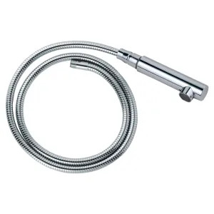 Grohe 46590000 Grohe 46590000 Essence Pullout Spray - StarLight Chrome