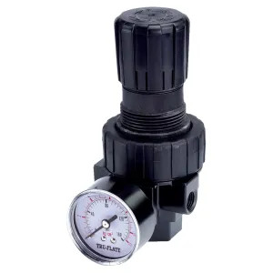 Tru-Flate 24-414 Tru-Flate 24-414 Compact Air Line Regulator with Pressure Gauge, 3/8 in NPTF, 6.4 in H