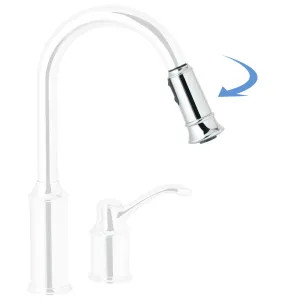 Moen 141044 Moen Wand & Hose Kit for Aberdeen Old Style, Chrome - 141044 