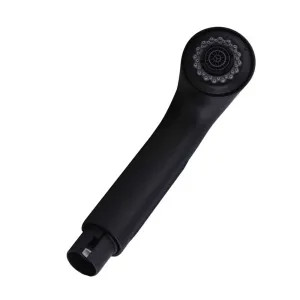 Moen 136829BL Moen Extensa 2.2 GPM Pull-Out Wand - Matte Black (136829BL)