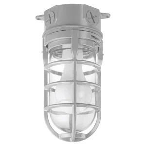 Carlon MCL150C Thomas & Betts MCL150C Carlon Ceiling-Mounted Light Fixture