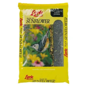 Lebanon 2647281 Lyric 2647281 Sunflower Seed, 25 lb, Bag