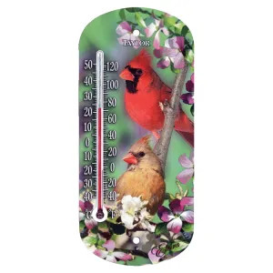 Taylor Precision 5204 Cardinals, Taylor 5204 Weather Resistant Window Thermometer, -40 TO 120 deg F
