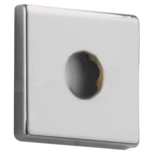 Delta RP46872 Delta RP46872 Chrome Shower Arm Flange