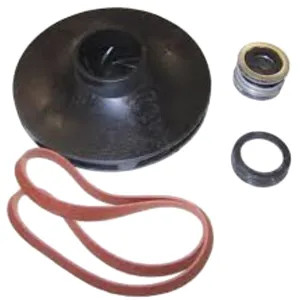 Red Lion 640161 Red Lion 640161 Overhaul Kit for RJC-100 Pump