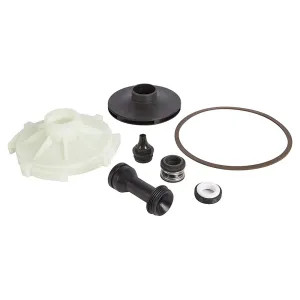 Red Lion 305584007 Red Lion 305584007 Overhaul Kit for RJS-75-PREM Pump