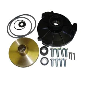 Red Lion 640234 Red Lion 640234 Major Repair Kit for RLSP-200-BI Pump