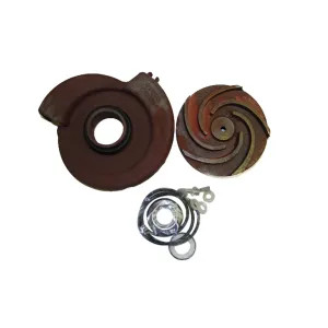 Red Lion 617310 Red Lion 617310 Major Repair Kit for 2RLAG-1L Pump