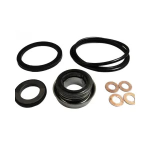 Red Lion 617305 Red Lion 617305 Minor Repair Kit for 617056  4RLAG-2H Aluminum Water Transfer Pump