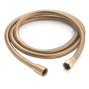 Moen A726BG Moen Brushed Gold Handheld Shower Hose - A726BG
