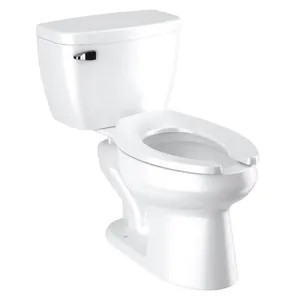 Sloan 80098016 Sloan WETS-8009.8016 White Elongated Pressure-Assisted Toilet, 1.0 GPF 
