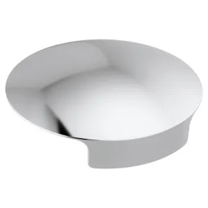 Delta RP101289 Delta RP101289 Cover for Glass Rinser - Chrome