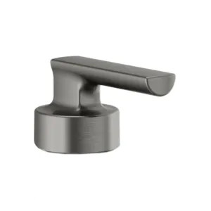 Brizo RP101565SL Brizo Kintsu Bidet Faucet Lever Handle Kit, Brilliance Luxe Steel - RP101565SL
