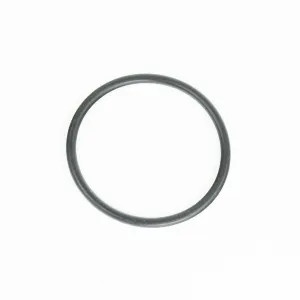 Watts VWPRV1GASKET VWPRV1GASKET 1101973 Gasket For 1