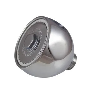 Sloan 328134 Sloan AC-55-A Shower Spray Head Assembly (0328134)
