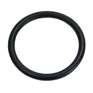 Sloan 5337075 Sloan DO-6 Piston O-Ring for Dolphin Flushometer (5337075)