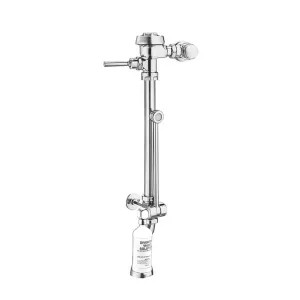 Sloan 3019604 Sloan Royal BPW 1155-3.5 Exposed Manual Specialty Water Closet Bedpan Washer Flushometer (3019604)