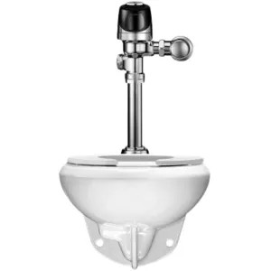 Sloan 20501401 Sloan WETS-2050.1401 ST-2059 Water Closet and G2 8111 Flushometer (20501401)