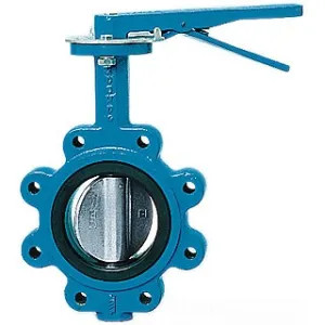Watts 526827 VWBFV5LUG 5 BF03-121-45 5